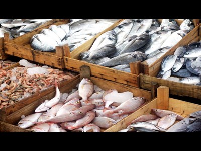 افزایش 13 درصدی ارزش صادرات محصولات آبزیان در 4 ماهه امسال