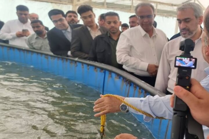 توسعه مکران در مسیر تحول؛ وزیر اقتصاد از ابرپروژه کشت و صنعت بازدید کرد