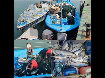 توقیف یک فروند قایق غیرمجاز پرساین متخلف در شهرستان قشم