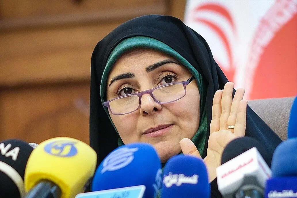 فرزانه صادق: مشکل هواپیماهای ام دی با یک پاک کن حل می شود!