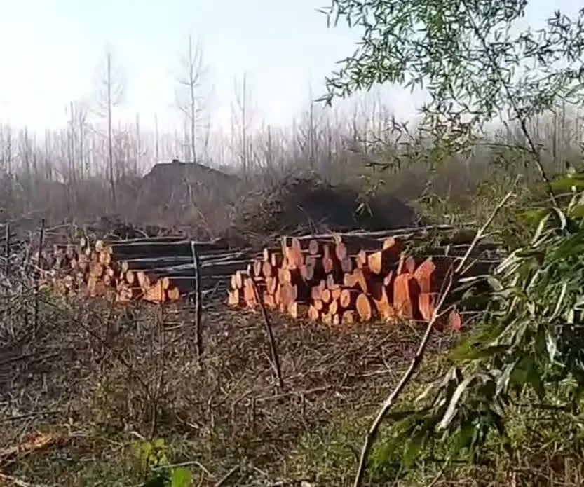 مقایسه کریدورهای ریلی شمالی جنوبی با مسیرهای دریایی از منظر قیمت تمام شده/ ضرورت بازنگری در سیاست ها