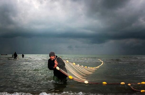 پاشنه آشیل شیلات ایران: تولید میلیونی، بازاریابی حداقلی