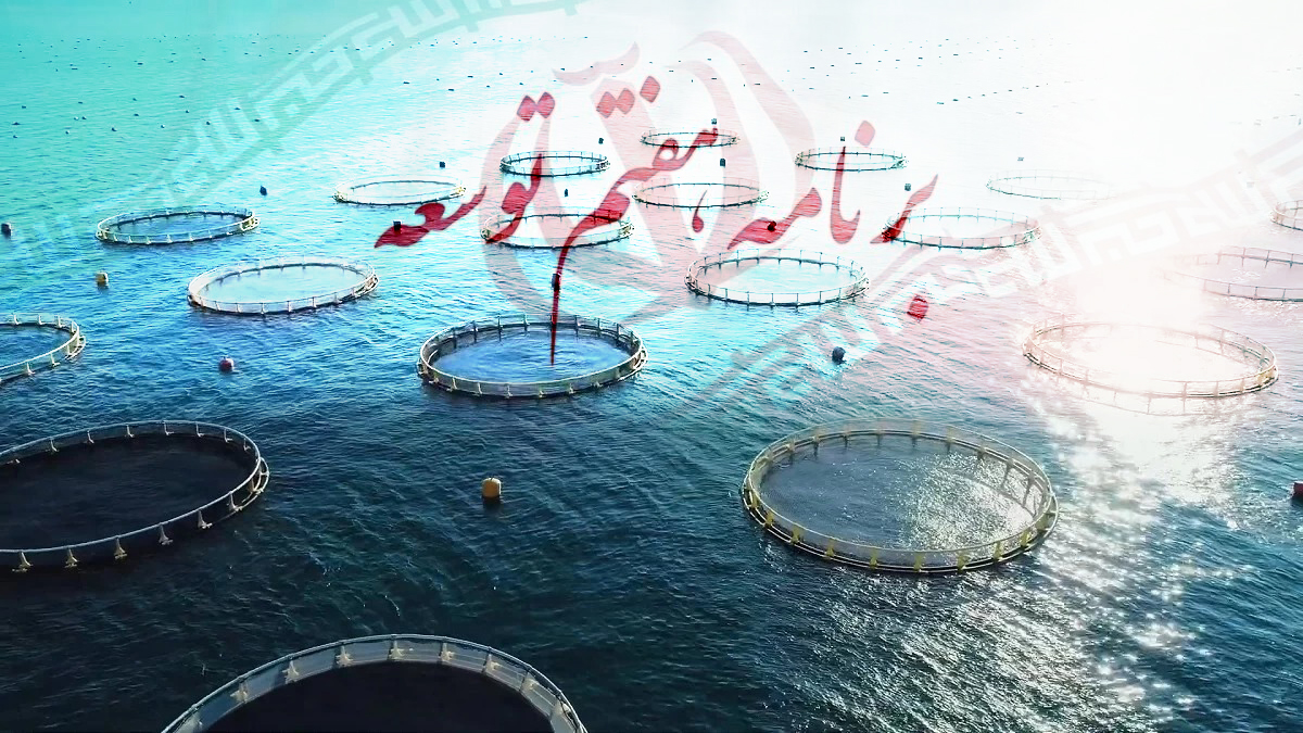 کلید طلایی توسعه یا قفل بسته؟ آینده مبهم شیلات ایران در برنامه هفتم