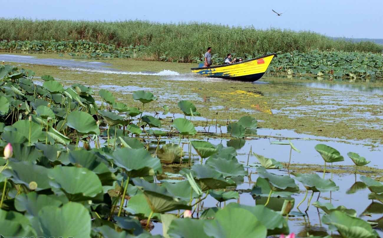 آموزش جوامع محلی؛ اولویت طرح ملی حفاظت از تالاب‌ها