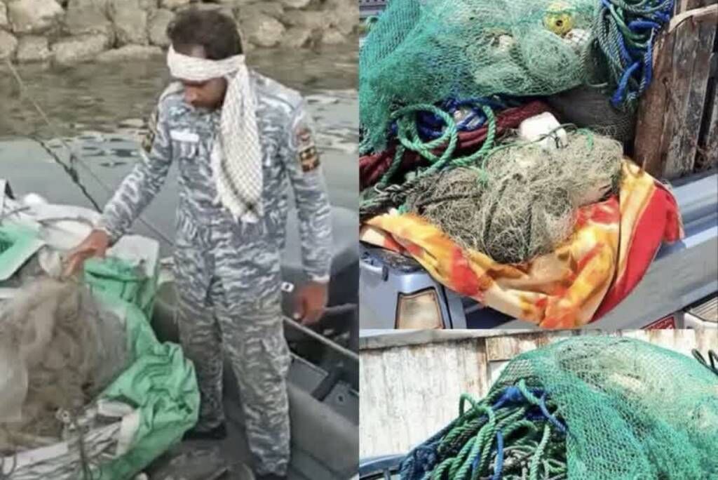 اقتدار یگان حفاظت شیلات در آب های جنوب، از توقیف ۱۶ لنج تا کشف محموله کوسه ماهی