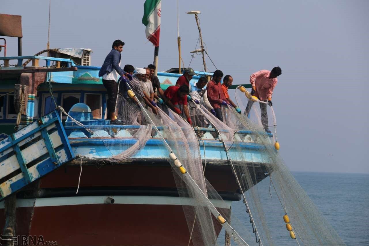 ایران، قدرت اول صید تون در غرب اقیانوس هند؛ فصل طلایی صیادان جنوب آغاز شد