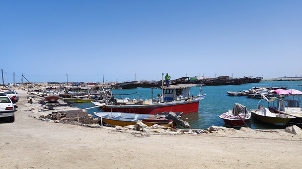 تزریق ۴۲۹ میلیارد تومان اعتبار ملی به شیلات بوشهر؛ اسکله های صیادی نوسازی می شوند