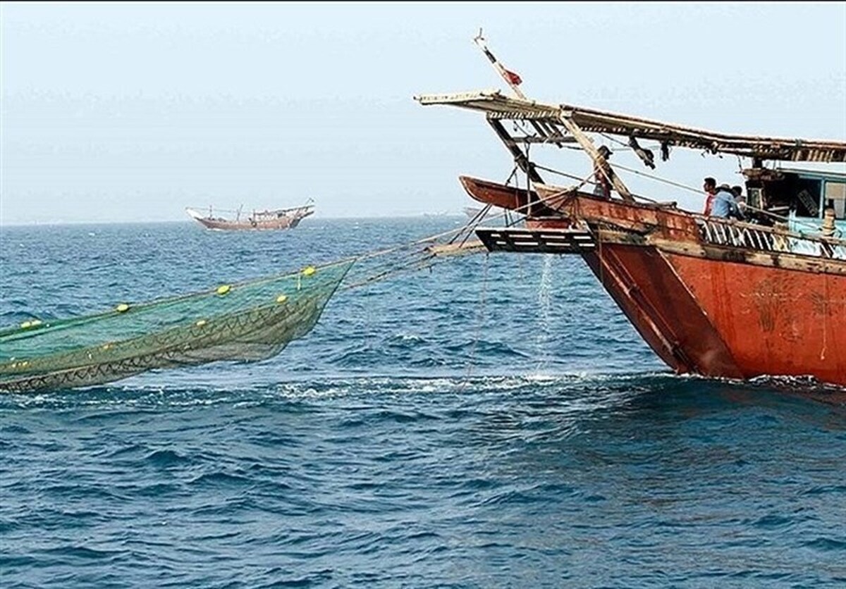 شاه میگوی بوشهر تورها را پر کرد؛ جهش ۵۸ درصدی صید در سواحل خلیج فارس