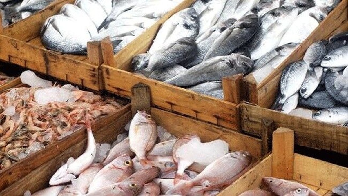 صادرات شیلات ایران روی لبه تیغ؛ رشد آماری در سایه چالش‌های ساختاری و افت ارزآوری