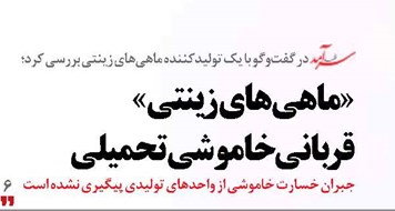 «ماهی‌های زینتی»  قربانی خاموشی تحمیلی