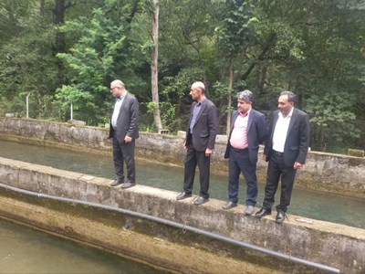 پروژه پایلوت پرورش ماهی آزاد؛ گامی راهبردی در توسعه صنعت شیلات مازندران