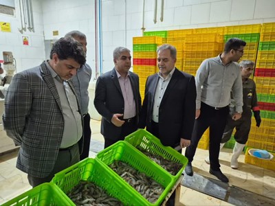 بررسی ظرفیت‌های شیلاتی جنوب کرمان و هرمزگان