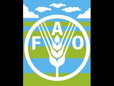 جهش تاریخی آبزی‌پروری در سالنامه ۲۰۲۳ فائو