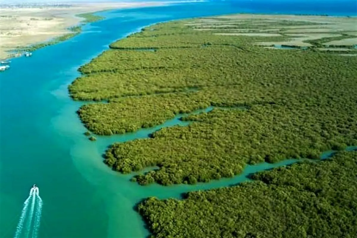 سهم ۹۵ درصدی هرمزگان از مسافران دریایی؛ آیا زیرساخت های گردشگری استان کافی است؟