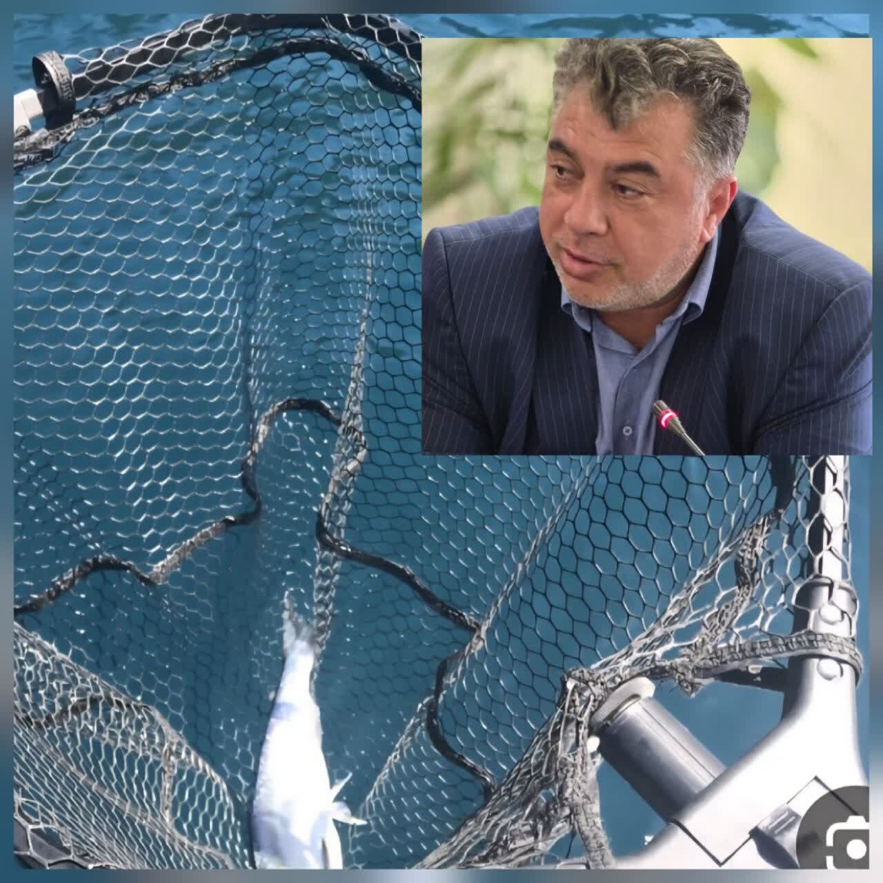 شیلات گیلان در مسیر ۹۴ هزار تنی، آیا صید غیر مجاز و تولید معیشتی ترمز توسعه را میکشد؟