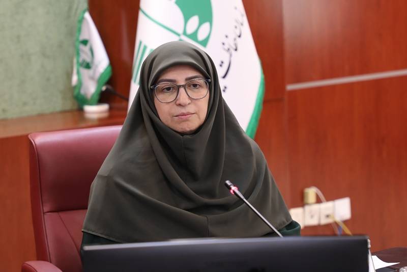 محیط زیست سالم، پیش‌شرط توسعه شهری پایدار