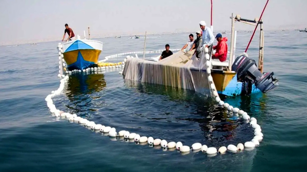 مدیریت صید جزیره هنگام به صیادان سپرده شد, کلید دریا در دست صاحبان اصلی آن