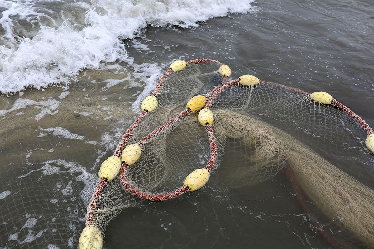 صیادی؛ اصلی‌ترین عامل تهدید اکوسیستم مرجانی خلیج فارس