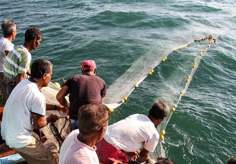 صدور مجوز صیادی آب‌های دور در دستور کار مجلس قرار دارد