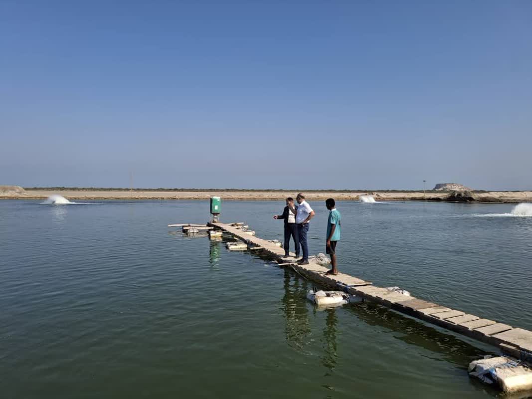 بازديد از ظرفيت‌هاي شيلاتي، فناورانه و گردشگري قشم
