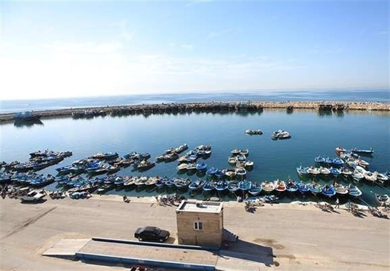 همراه‌داشتن کارت صیادی و ناخدایی در سواحل خلیج فارس بوشهر الزامی است