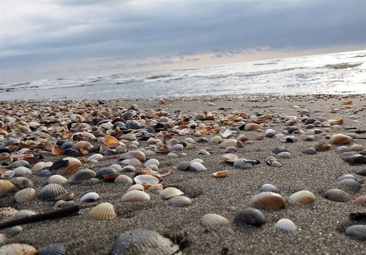 گذار از بحران کاهش سطح آب خزر با همکاری‌های بین المللی