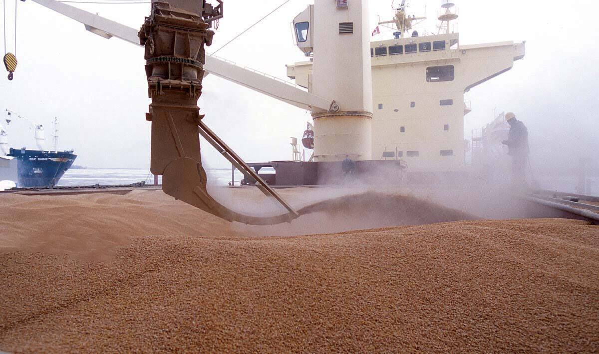 آغاز پهلوگیری و تخلیه ۶۶ هزار تُن گندم کیفی در بندر شهید رجایی هرمزگان