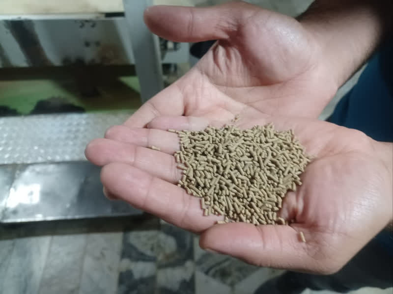 تقويت توليد خوراك استاندارد آبزيان در قزوين