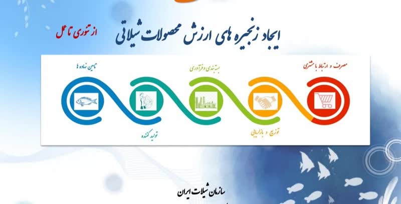 توسعه ارزش افزوده و تكميل زنجيره تأمين محصولات آبزي؛ مسير راهبردي شيلات در اجراي برنامه هفتم پيشرفت