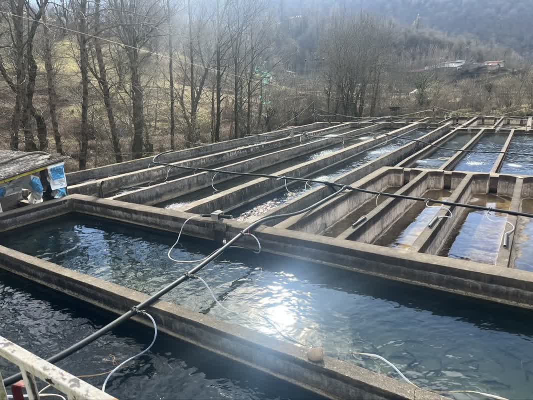 حمايت شيلات شهرستان رودبار گيلان، براي ارتقاء ظرفيت دو برابري مزارع