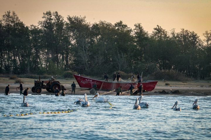 فعالیت‌های دریایی در خزر ممنوع شد